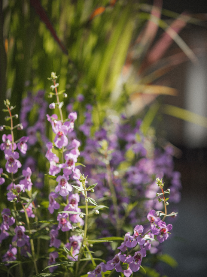 Liebevolle Dekoration